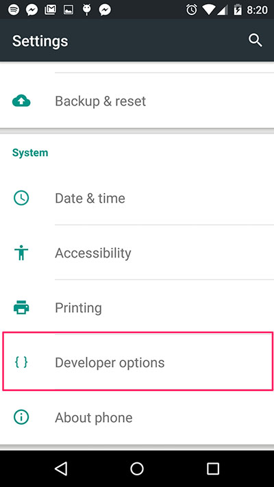 Developer Options Screen